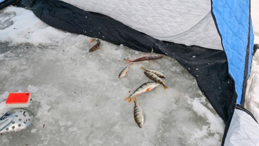 Затон перед морозными выходными