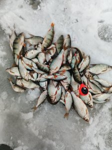 Ветреный Затон.