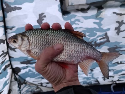 Открылся на ОВХ.