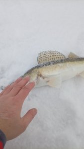 Берега, берега или боже, как давно это было, помнит только мутной реки вода...