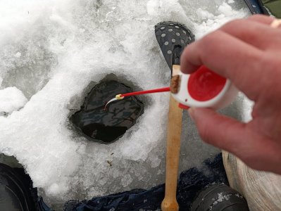 Безмотылки спасли рыбалку.
