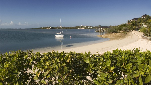 Акула искалечила американского туриста во время охоты на Багамах