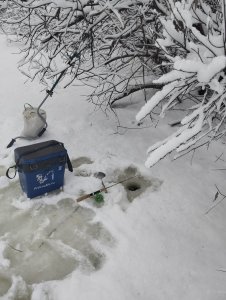 Запоздалое открытие!..