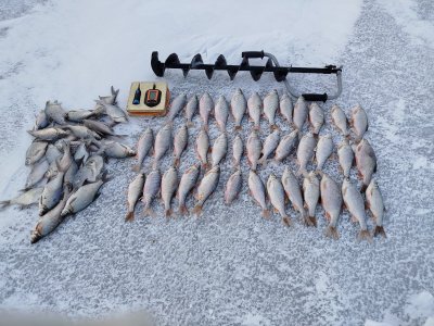 Опять БЗ, опять сорога.