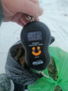 Ротаны в минус тридцать.