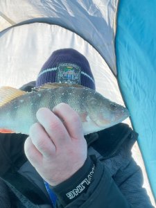 Береговая, открытие