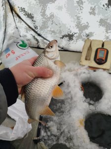 Повторение - мать учения.