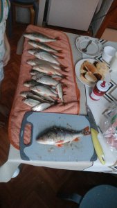 Затон в выходной!