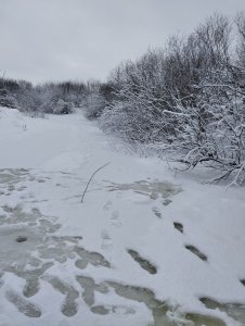 Запоздалое открытие!..