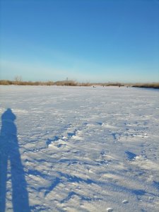 Ротаны в минус тридцать.