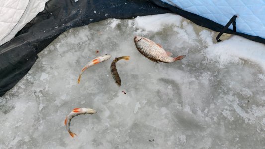 Затон перед морозными выходными