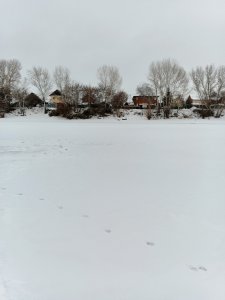 Ветреный Затон.