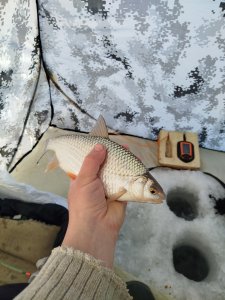 Опять БЗ, опять сорога.