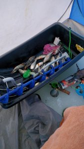 Затон в выходной!