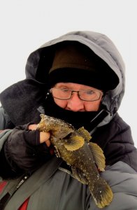 Вы в такую метель, куда? А мы в Толмачевский сельсовет, за ротаном.