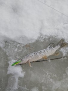 Запоздалое открытие!..