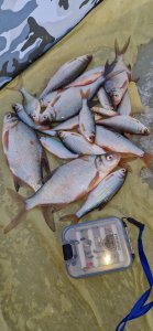 Отлично отдохнуть в затоне