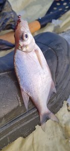 Отлично отдохнуть в затоне