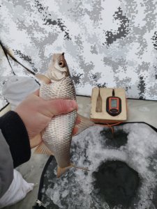 Насорожил...