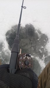 Берега, берега или боже, как давно это было, помнит только мутной реки вода...