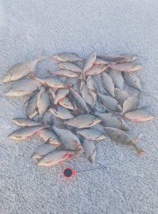 Морозный БЗ