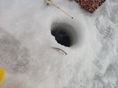 Инструментальный