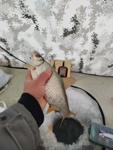 Повторение - мать учения.