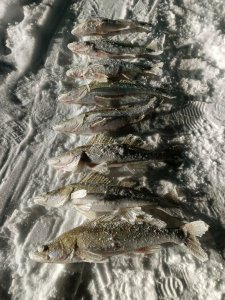 Как "потерять" товарища на обычной рыбалке...