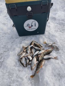 Уень штаны.