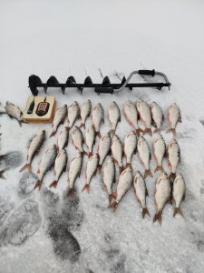 Повторение - мать учения.