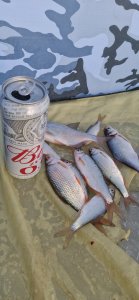 Отлично отдохнуть в затоне