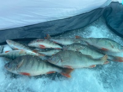 Береговая, открытие