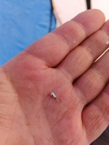 Ветреный Затон.