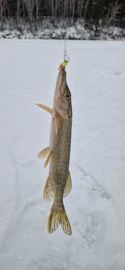 Был, но не участвовал...