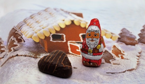 Деду Морозу обещают новый терем, а туристам &ndash; гостиницы