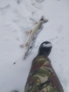 Загар, Загар, Удар!..