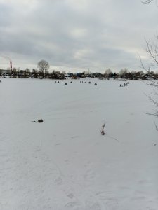 В Затоне плотва