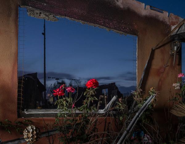 100 лучших фотографий 2025 года по версии Time