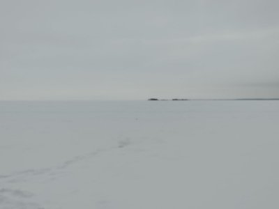 ОВХ. За тремя "зайцами" по гонишься, и ......"