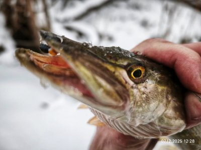 Отдых на красивой Колыванской речушке.