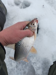 ОВХ. Вторая половина дня малёха сработала.