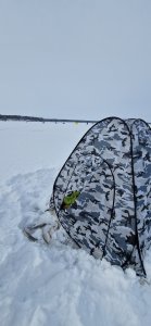 24 декабря, ,,Ремикс''.