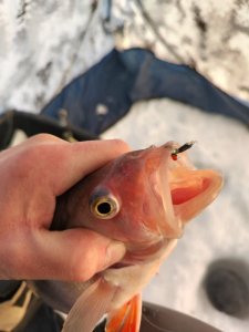 ОВХ. " Энтузиасты"