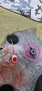 Бердск залив. 04.12.2025г