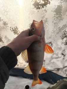 ОВХ. " Энтузиасты"