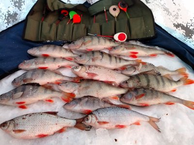 ОВХ. " Энтузиасты"