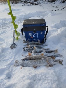 Вьюна или "Звёздный"час Свояка!..