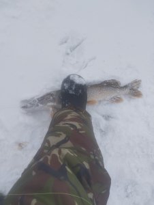 Загар, Загар, Удар!..