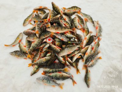 На малой речке.