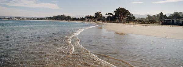 Примеры фотографий на новую пленку Kodak Kodacolor